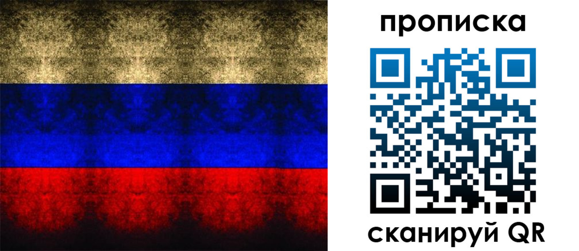 временная прописка в Гатчине